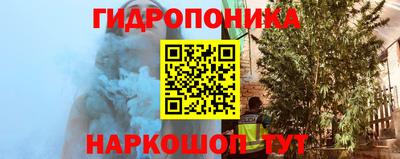 МДПВ Дубна