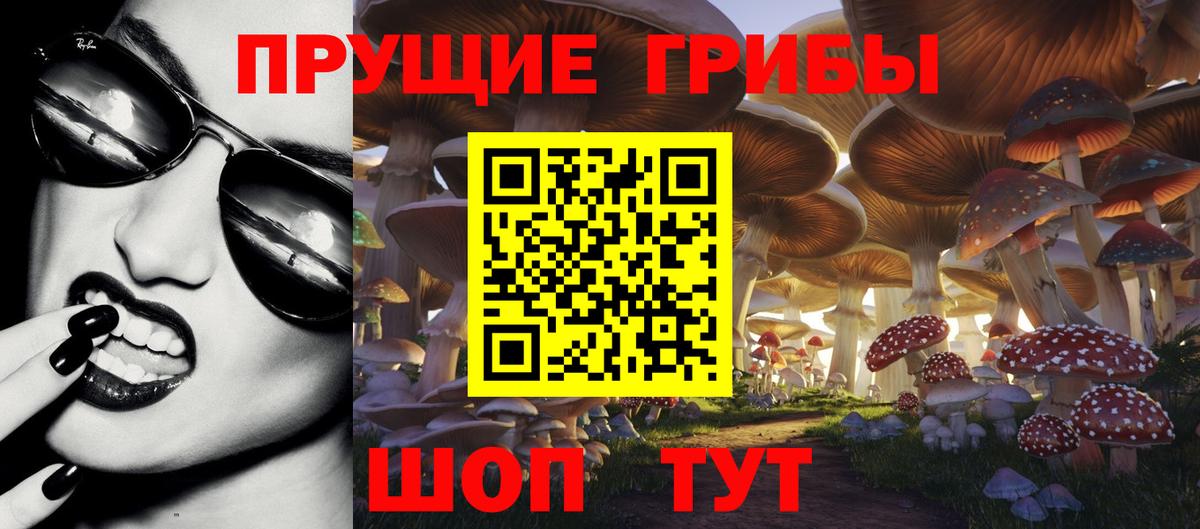 Галлюциногенные грибы MAGIC MUSHROOMS  Галлюциногенные грибы Psilocybe  Вход с VPN  Лысьва 