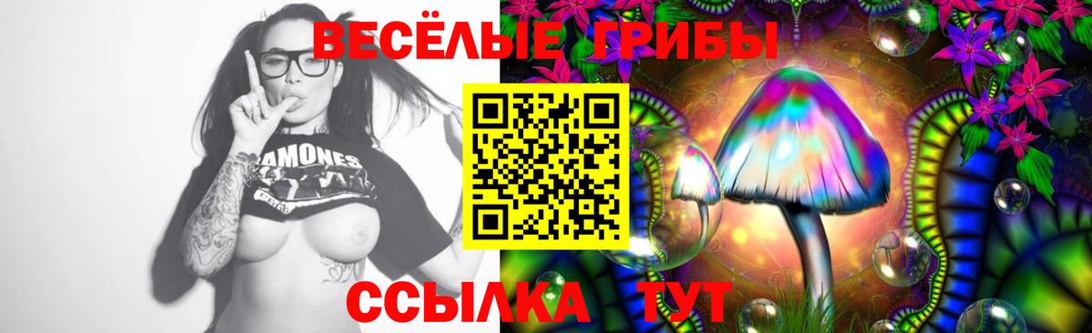 Псилоцибиновые грибы Cubensis Лысьва